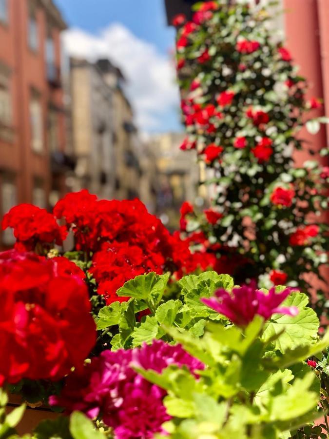Il Sole Di Montesanto Bed & Breakfast Napoli Eksteriør bilde