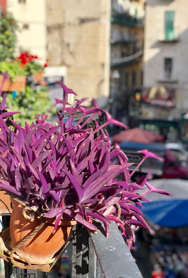 Il Sole Di Montesanto Bed & Breakfast Napoli Eksteriør bilde